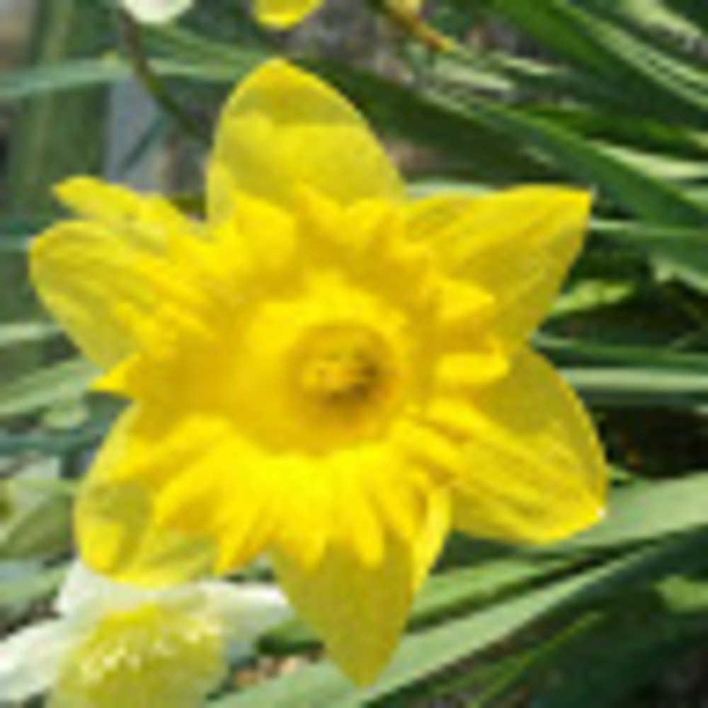 Meet your Posher, Celi